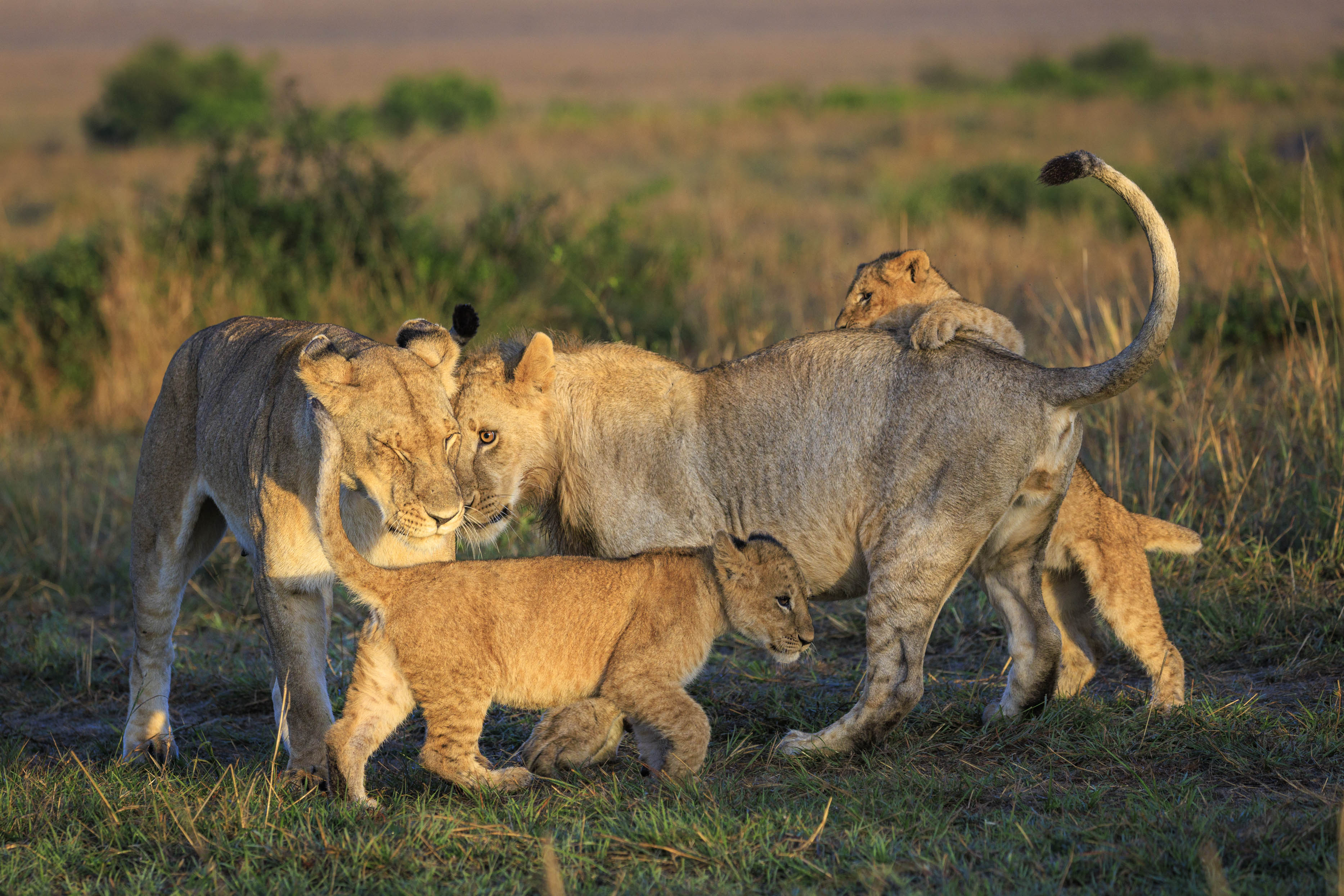 November 11, 2022-063005-2.jpg